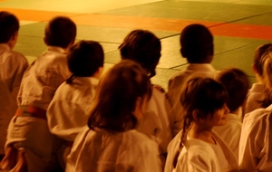 FAIS DU JUDO AVEC TES PARENTS VENDREDI 26 AVRIL 2013