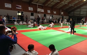 TOURNOI INDIVIDUEL INTERCLUBS STADE DU RACINAY RAMBOUILLET, SAMEDI 18 AVRIL 2015