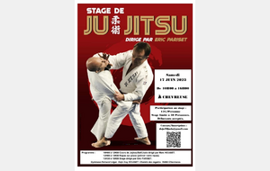 Stage Judo-Jujitsu - 17 Juin 2023