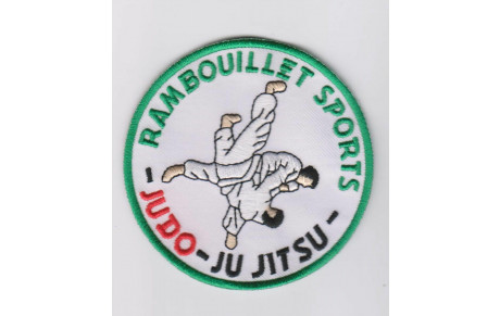 Stage RS judo en partenariat avec le Pôle Famille de Rambouillet